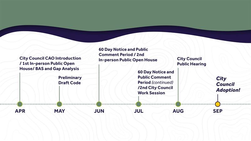 CAO update timeline from April through September, ending with City Council adoption