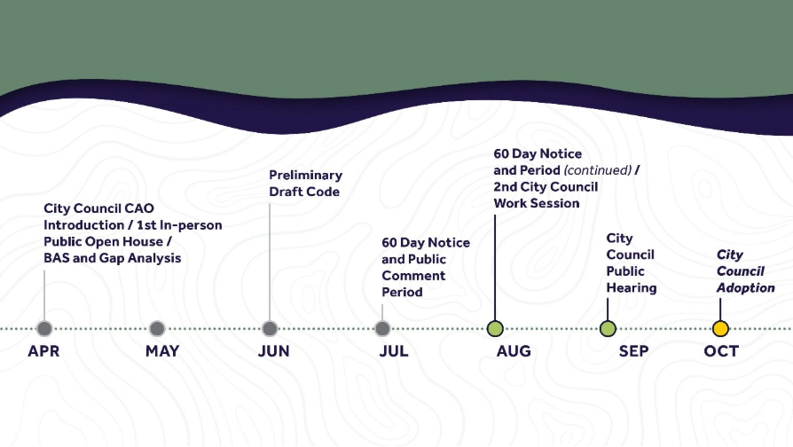 CAO update timeline, ending with City Council adoption
