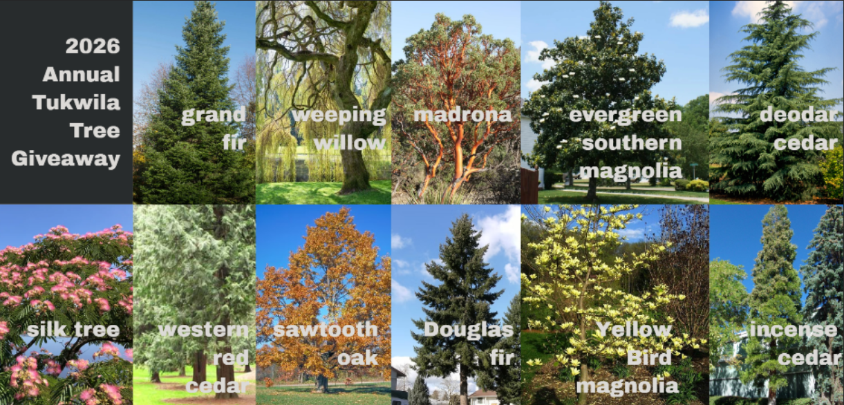 Available tree species for the 2026 Tukwila Tree Giveaway